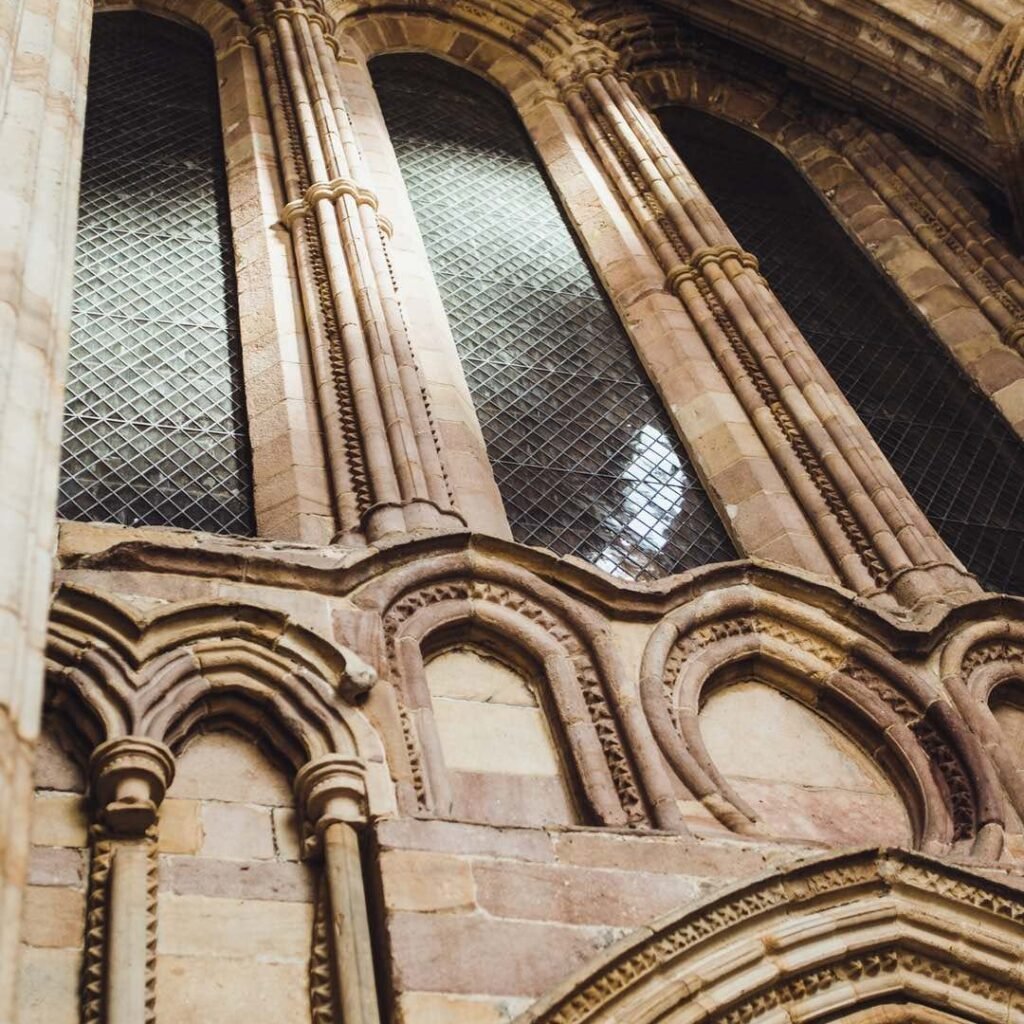 website.s_three_columns_default_image_3